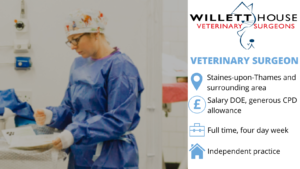JOB ADVERTS (4)